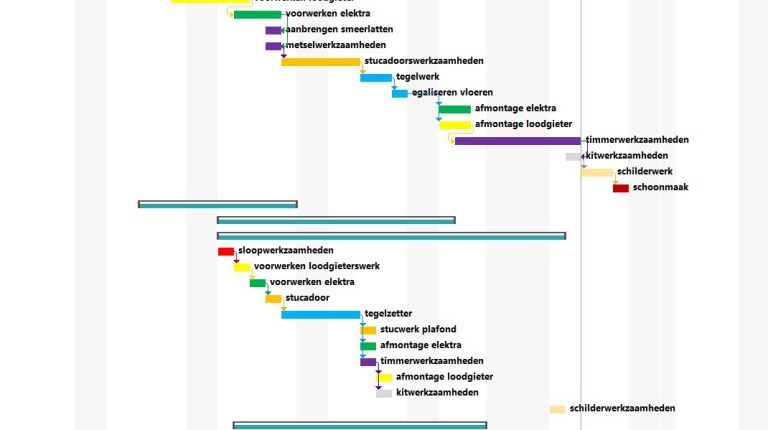 Mutatieplanning MS Projects
